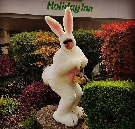 Easter Bunny Outfits, Fur Suits, Rabbit Costume, Bunny Man, Animal Costumes, Bunny Costume, Bunny Outfit, Funny Costumes, Men Suit