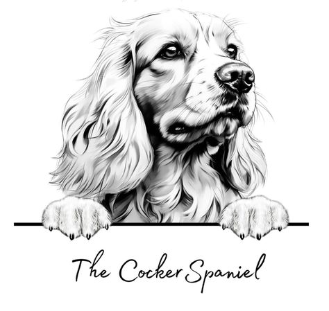 Drawing Cocker Spaniel, Cocker Spaniel Tattoo, Cocker Spaniel Drawing, Spaniel Tattoo, Spaniel Drawing, Cocker Spaniel Cartoon Drawing, Cocker Spaniel Coloring Page, Cocker Spaniel Silhouette, Tattoo Perro