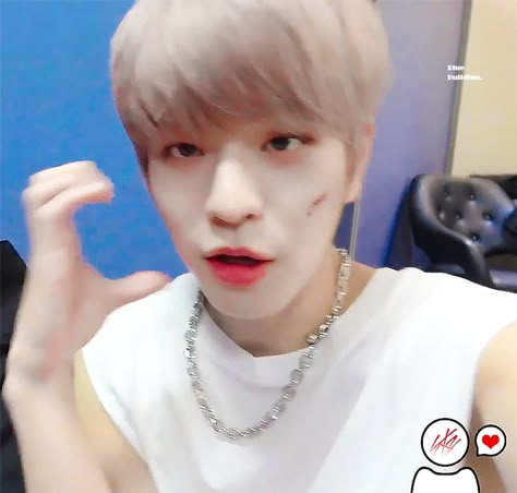 Seungmin Gif Icon, Seungmin Gif, Stray Kids Gif, Seungmin Icons, Skz Seungmin, Seungmin In The Building, Kpop Gifs, Stray Kids Seungmin, Kim Seungmin