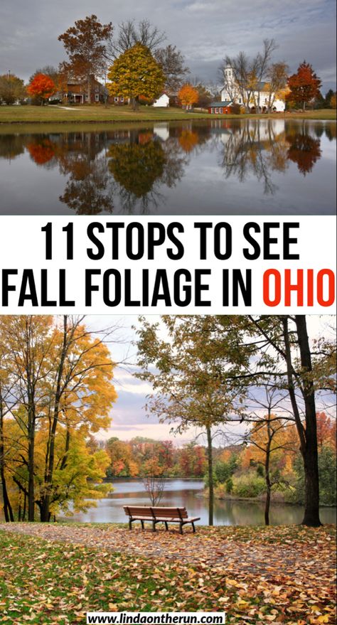 Fall Places, Things To Do In Ohio, Ohio Fall, Facebook Engagement Posts, Ohio Travel, Vacation Locations, Leaf Peeping, Travel Bucket List Usa, Travel Winter