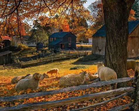 1700s Aesthetic, Colonial Aesthetic, 1800s Aesthetic, New England Cottage, New England Colonial, New England Aesthetic, Sturbridge Village, England Aesthetic, Village Photos