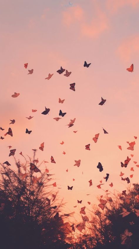 Butterflies flying through a pink sky outdoors nature flock. | premium image by rawpixel.com Flying Aesthetic, Lots Of Butterflies, Animal Migration, About Butterflies, Butterflies Flying, Animal Wildlife, Pink Sky, Free Design Resources, Flocking