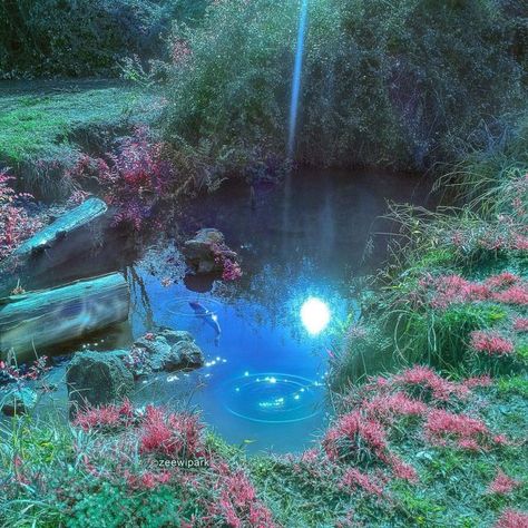 Water Fairy, Ethereal Aesthetic, Mermaid Aesthetic, Fairy Aesthetic, Pretty Landscapes, Nature Aesthetic, Pretty Places, Fantasy Landscape, Pretty Pictures