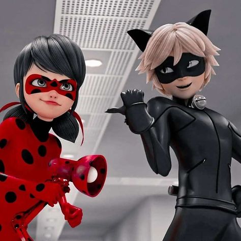 Ladybug Cat Noir, Cat Noir, Miraculous Ladybug, Aesthetic Pictures, Illustrations, Fan