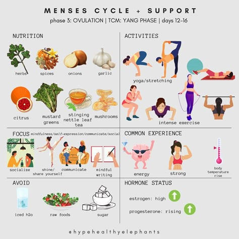 Melissa Hsu | The Healthy Elephants® | . The hot 🔥 & sexy topic: Menses Cycle Support 🩸 This ideology largely incorporates TCM methodology. Day 1 is heavy 🩸 🌕Phase… | Instagram Period Food, Cycling Food, Hormone Nutrition, Cycle Syncing, Healthy Hormones, Menstrual Health, Happy Me, Gym Girl, Women's Health