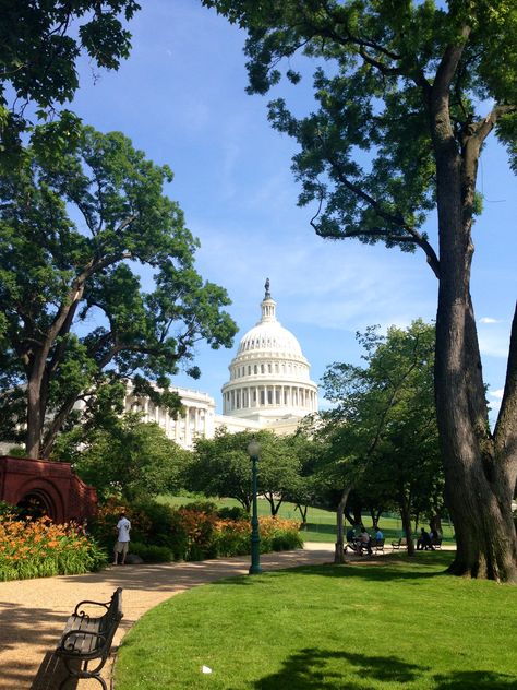 Capital Hill  Washington DC City Aesthetics, Visiting Washington Dc, Capitol Building, My Heritage, Travel Usa, Washington Dc, United States Of America, Places Ive Been, Taj Mahal