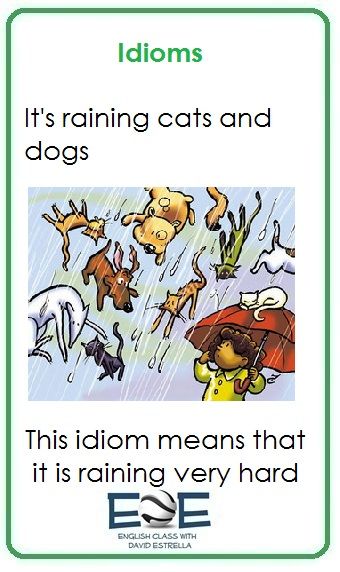 It's Raining Cats And Dogs, English Skills, English Language Learning Grammar, Raining Cats And Dogs, English Lessons For Kids, Improve Your English, English Idioms, It's Raining, English Language Learning