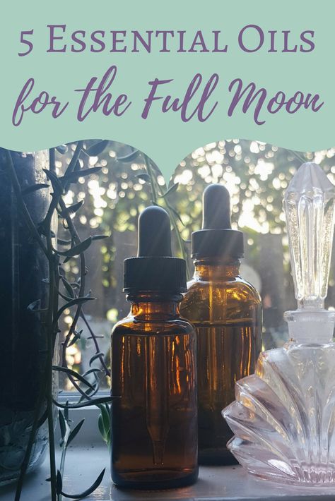 Try these five essential oils out this full moon: cardamom, eucalyptus, myrrh, sandalwood and ylang ylang. Moon Celebrations, Moon Worship, Spiritual Topics, Pagan Moon, Earth Healing, Lunar Magic, Moon Magick, Moon Energy, Moon Bath