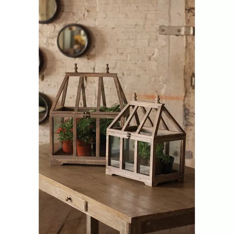 Gracie Oaks Scholten 2 Piece Wood Terrarium Set & Reviews | Wayfair Urban Farmhouse Designs, Wooden Greenhouses, Diy Bird Feeder, Decorative Bird Houses, Into The Wood, Wooden Lanterns, Terraria, Glass Terrarium, Into The Woods