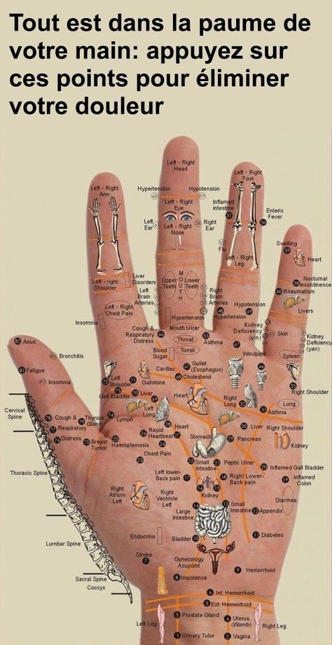 Hand Reflexology, Reflexology Chart, Coconut Health Benefits, Body Organs, Good Health Tips, Pressure Points, Palm Of Your Hand, Reflexology, Acupressure