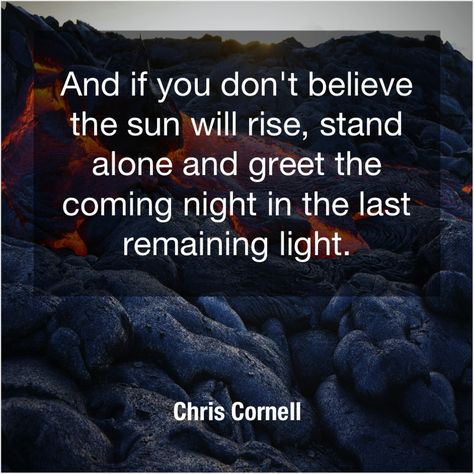 Chris Cornell Quotes, Gail Simmons, Frank Auerbach, Ani Difranco, Ann Curry, Anne Sullivan, Amy Sedaris, Alan Dean Foster, Damian Lewis