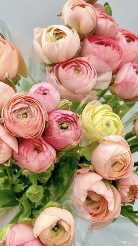 Runuculous Flower, Botanical Flowers Print, Flower Language, Wholesale Flowers Wedding, Bulk Wedding Flowers, Ranunculus Flowers, Diy Bouquets, Flowers For Sale, Beautiful Bouquet Of Flowers