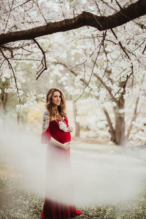 Blossom Photoshoot, Newborn Family, Northern Virginia, Maternity Photographer, Pregnancy Shoot, Maternity Session, Maternity Pictures, Pregnancy Photoshoot, Photo Session