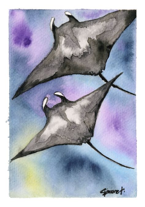 Manta Ray Painting, Manta Ray Watercolor, Manta Ray Drawing, Manatee Art, Connection Art, Watercolour Nursery Art, Manta Rays, Marine Art, Beautiful Sea Creatures