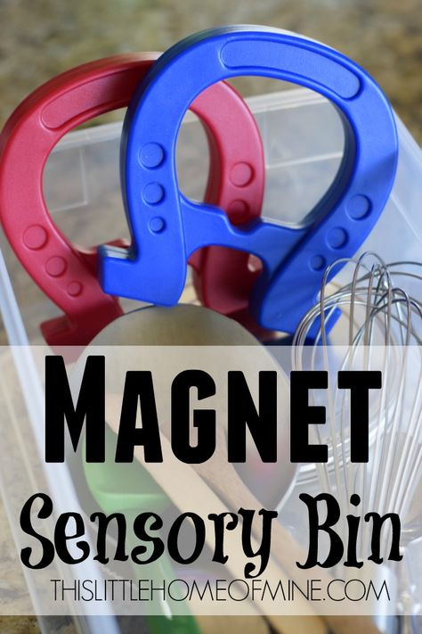 Homeschool Morning Routine, Fun Activities For Preschoolers, Magnets Science, Fun Magnets, Counting Money, Science Activity, Morning Time, Sensory Boards, Teaching Toddlers