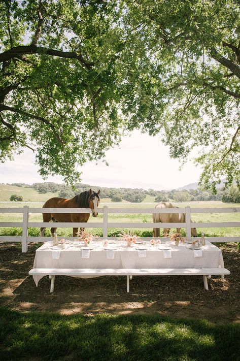 Jenny Kane, Green Pasture, Summer Gathering, Eat The Rainbow, Jenni Kayne, Summer Entertaining, Greenwich Village, Hollywood Hills, Jackson Hole