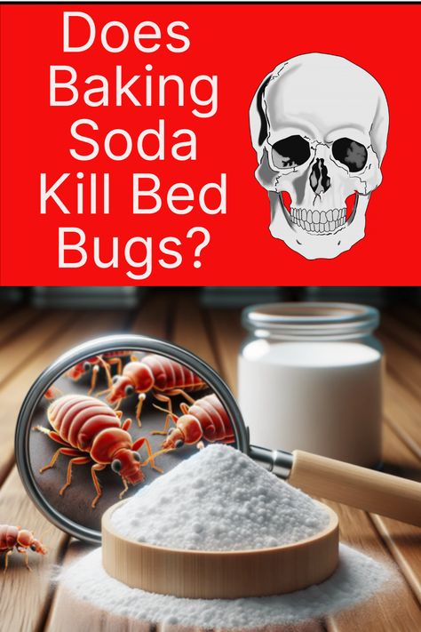 Read about its effectiveness, alternative methods and safeguard your peaceful nights ahead. Common Methods to Combat Bed Bugs. Does Baking Soda Kill Bed Bugs: Analyzing the Effectiveness. Application of Baking Soda. Bed Bug Remedies, Bedbugs Removal, Signs Of Bed Bugs, Bug Spray Recipe, Kill Bed Bugs, Integrated Pest Management, Bug Killer, Bug Control, Bed Bug