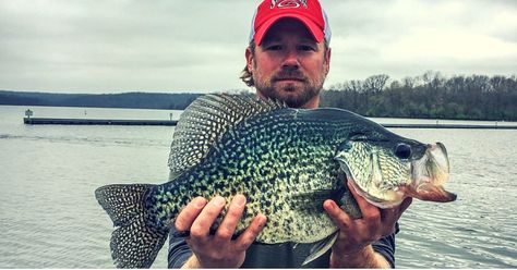 Crappie Fishing Tips, Farm Pond, Monster Fishing, Crappie Fishing, Illinois State, States In America, Fishing Life, Kayak Fishing, Big Fish