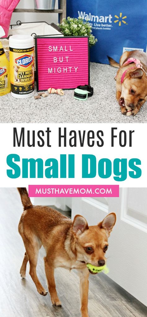 Small Dog Hacks, Small Dog Items, Dog Toys For Small Dogs, Small Dog Must Haves, Small Dog Supplies, Stuff For Dogs, Dog Necessities, Puppy Tricks, Dog Essentials Products