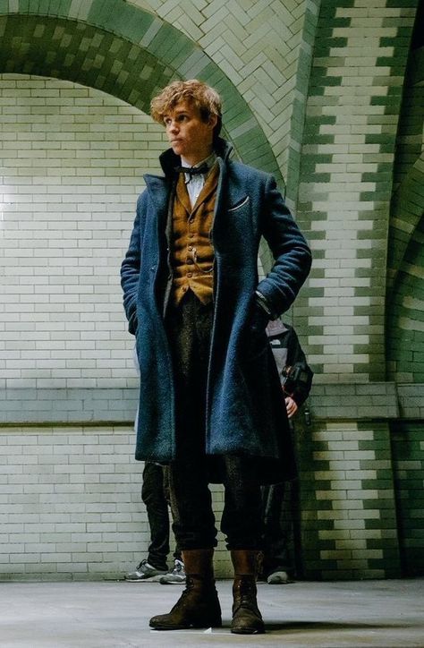 Fantastic Beasts Series, Fantasic Beasts, Fantastic Beasts Movie, Harry Porter, Hufflepuff Aesthetic, Newt Scamander, Eddie Redmayne, Fantastic Beasts And Where, Harry Potter Wallpaper