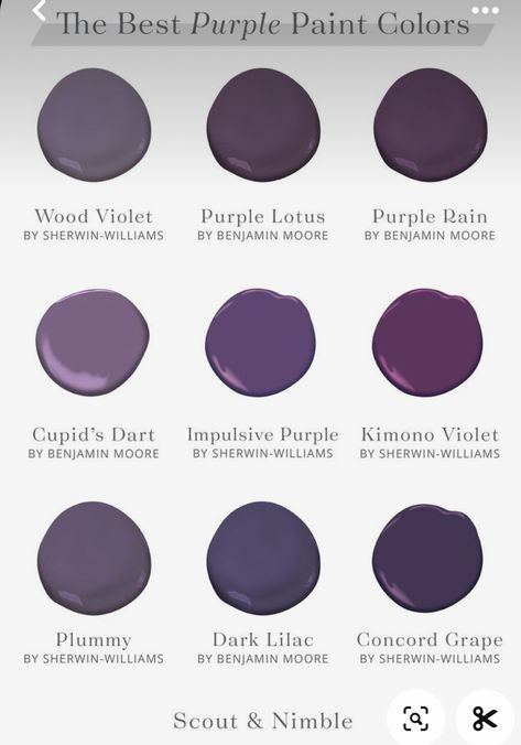 Deep Purple Accent Wall Bedroom, Deep Purple Living Room Ideas, Navy Purple Living Room, Purple Behr Paint Colors, Black Purple Paint Color, Deep Purple Paint Bedroom, Navy Blue And Purple Living Room, Dark Purple And Black Bedroom, Gothic Purple Paint