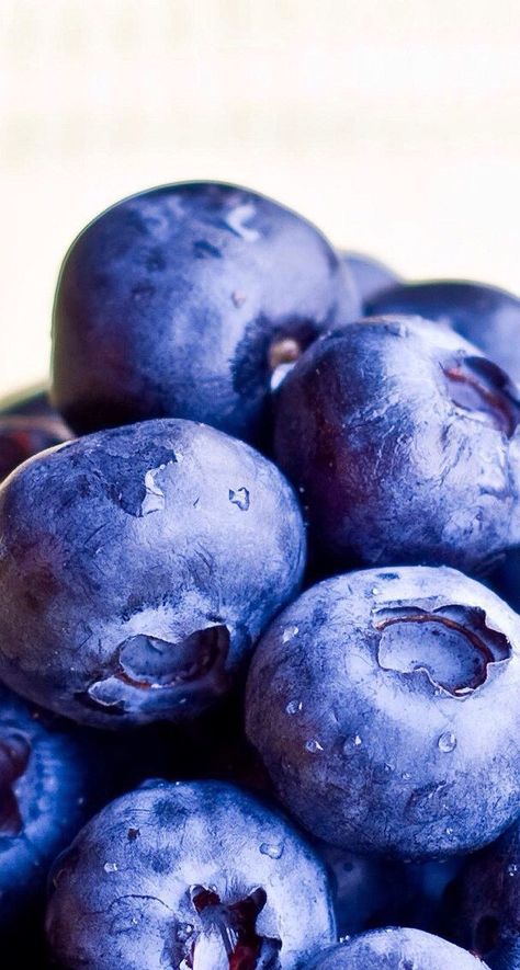 Blueberry Still Life, Blueberries Photography, Blueberry Aesthetic, Blueberry Photography, Growth And Decay, Fruit Wallpaper, Fruit Photography, Still Life Photos, Food Painting