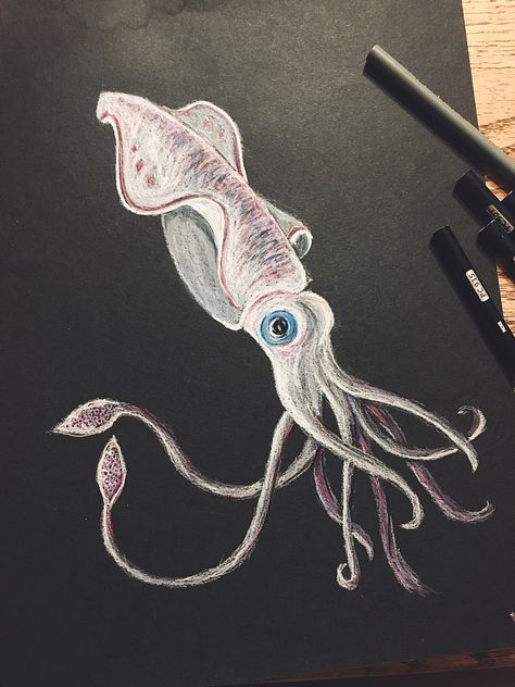 #art #color #coloredpencils Squid Drawing Reference, Squid Tentacles Drawing, Squid Sketch, Sea Sketches, Giant Squid Drawing, Squid Painting, Colossal Squid Drawing, Squid Art Illustrations, Cephalopod Art