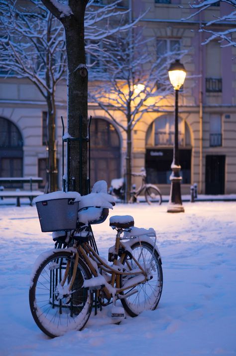 https://flic.kr/p/248q6hN | Paris | Place Dauphine under the snow Paris Place, Picture Collection, The Snow, My Pictures, Paris, France