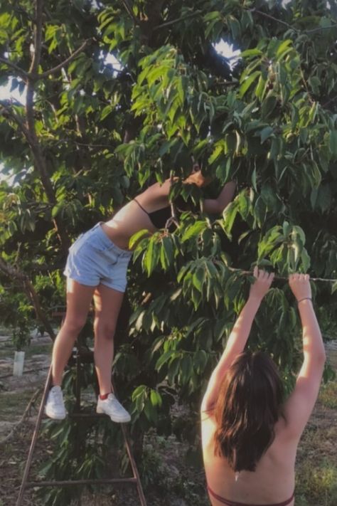 Picking Fruits Aesthetic, Picking Fruit Aesthetic, Fruit Picking Aesthetic, Picking Fruit, Fruit Picking, School Plan, Rat Race, The Tree Of Life, Gap Year