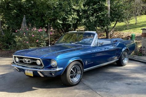 1967 Ford Mustang Convertible (Acapulco Blue, C-code, 289ci V8, 3-speed auto) 1967 Mustang Convertible, White Convertible, Ford Mustang 1967, Blue Mustang, 1967 Ford Mustang, 1967 Mustang, Ford Mustang Convertible, Classic Mustang, Mustang Convertible