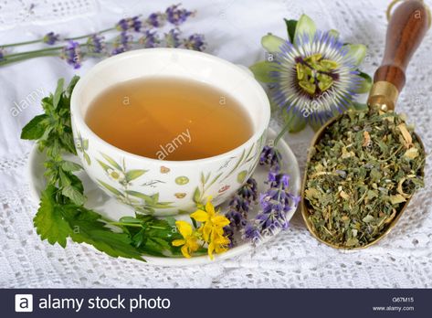 Nerves and calming tea, Sweet orange blossom, Balm, St John’s wort, Amber, Lavender, Hop, Passion flower herb / (Melissa officinalis), (Passiflora incarnata), (Citrus sinensis), (Hypericum perforatum), (Humulus lupulus), (Lavandula angustifolia) Stock Photo Passiflora Incarnata, Hypericum Perforatum, Melissa Officinalis, Humulus Lupulus, Calming Tea, Citrus Sinensis, Brand Ideas, Lavandula Angustifolia, Passion Flower