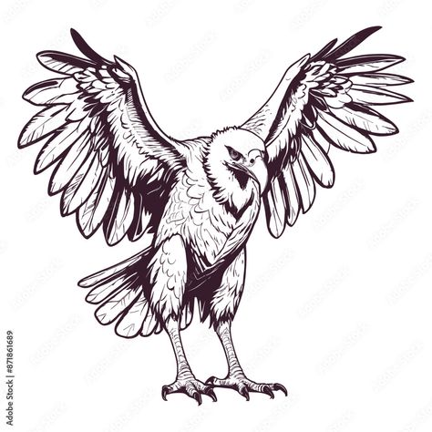 Hand Drawn Vulture Engraved Illustration Engraved Illustration, Engraving Illustration, Hand Draw, Photo Illustration, Adobe Stock, Stock Vector, Hand Drawn, How To Draw Hands, Drawings