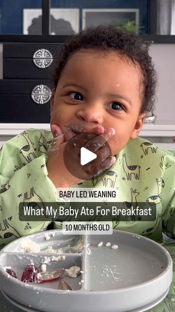 107K views · 4.5K likes | Simone Ward • BLW, Toddler & Kids Meals on Instagram: "FULL RECIPE BELOW⬇️

If you’re looking for a soft, fluffy and nutritious muffin recipe then save this post! This is a firm fave with my kids and as you can see, my 10 month old devoured them!
⠀⠀⠀⠀⠀⠀⠀⠀⠀
👩‍🍳SPINACH & BANANA MUFFINS
⠀⠀⠀⠀⠀⠀⠀⠀⠀
👶Suitable from 6M+
👨‍👩‍👧‍👦Makes 12
⏰25 minutes
❄️Freezer Friendly

INGREDIENTS
▪️Non-stick cooking spray, as needed
▪️3 cups (90g) tightly packed baby spinach
▪️3/4 cup (180ml) milk of choice
▪️1 large egg
▪️1/4 cup (60ml) melted butter or coconut oil
▪️1 tsp vanilla extract
▪️1/4 cup (60ml) pure maple syrup (optional for kids 2 Years+)
▪️2 medium sized overripe bananas
▪️2 cups (250g) plain/all-purpose flour
▪️2 tsp baking powder
▪️1/2 tsp baking soda

METHOD
☑️Prehe 10 Month Old Baby Food, 9 Month Old Baby Food, Eggs For Baby, Overripe Bananas, Cooking Spray, Muffin Recipe, Freezer Friendly, Pure Maple Syrup, Healthy Meals For Kids