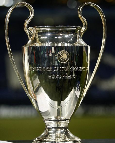 Old Big Ears Uefa Champions League Trophy, Wallpaper Europe, Soccer Trophy, Champions League Trophy, Champions Leauge, Football Trophies, Football Cups, Sports Trophies, بايرن ميونخ