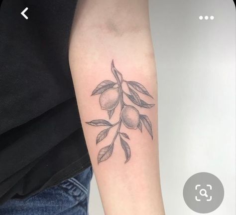 Lemon Branch Tattoo Black And White, Lemon Vine Tattoo, Italian Lemon Tattoo, Clementine Tattoo Black And White, Lemon Tattoo Black And White, Lemon Tattoo Minimalist, Lemons Tattoo, Greek Art Tattoo Minimalist, Lemon Branch Tattoo