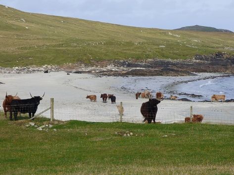 North Uist Scotland, Scottish Island Aesthetic, Uist Scotland, Bagpipe Music, Annie Mac, Scottish Mountains, The Isle Of Skye, Outer Hebrides, Scottish Islands