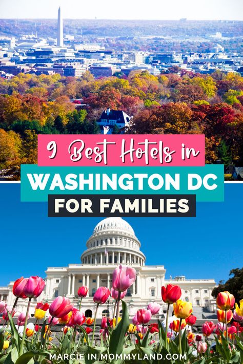 Planning a Washington DC family vacation? Discover the 9 best Washington DC hotels for families that will make your trip unforgettable! From hotels in Washington DC with kid-friendly amenities to convenient locations near top attractions, we've got you covered. Make your Washington DC itinerary stress-free and fun for everyone. Don't miss out on these affordable family vacations options that will fit your budget. Save this pin for your DC vacation and enjoy the best of Washington DC with kids! Washington Dc Family Vacation, Washington Dc Trip, Dc With Kids, Hotels In Washington Dc, Washington Dc Itinerary, Washington Dc With Kids, Washington Dc Vacation, Affordable Family Vacations, Dc Vacation