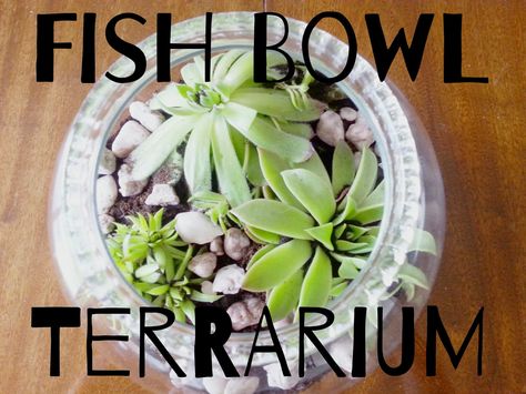 Diy Fish Bowl, Fish Bowl Terrarium, Fishbowl Terrarium, Glass Bowl Terrarium, Bowl Terrarium, Paper Bag Flowers, Crepe Paper Flowers Tutorial, Diy Waterfall, Diy Terrarium Kit