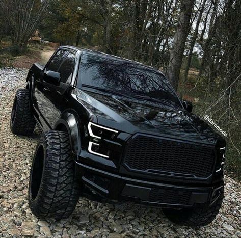 Ford F150 Raptor Black, Lifted Ford F150, Ford Raptor Lifted, Black Ford F150, Jeep Driving, Ford F150 Lifted, F150 Lifted, Tmax Yamaha, Custom Truck Parts