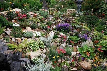 This guide is about gardening on slopes. Planting on an incline requires some planning to make sure your plants will thrive. Rockery Garden, Landscaping A Slope, Rock Garden Plants, Rock Garden Design, Hillside Landscaping, Sloped Garden, Rock Garden Landscaping, Landscaping Tips, Deck Garden