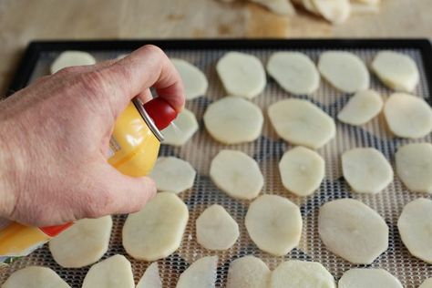 Potato chips are thinly sliced potatoes that are baked, fried or dehydrated. They serve as a side dish, snack or appetizer. Potato chips are available in many different flavors in grocery stores. Instead of purchasing potato chips from the store, you can make your own at home with a food dehydrator. You can season dehydrated potato chips to suit... Dehydrator Recipes Fruit, Dehydrating Food Storage, Dehydrate Potatoes, Yogurt Drops, Food Dehydration, Potato Chip Recipes, Dehydrated Vegetables, Veggie Chips, Food Dehydrator