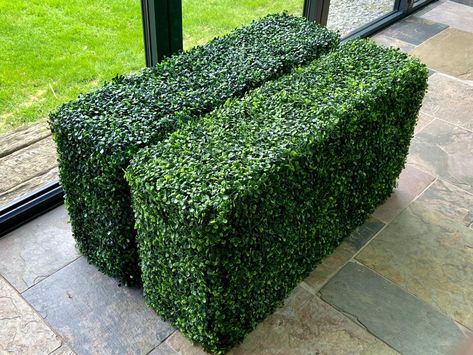 Artificial Boxwood Hedges Boxwood Hedges, Box Hedging, Gabion Baskets, Garden Hedges, Artificial Hedges, Boxwood Hedge, Kingston Upon Hull, Artificial Boxwood, Wood Fence