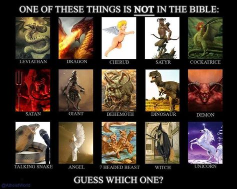 ...The only one that there is any evidence for - the dinosaur! Irony! Leviathan Dragon, Atheist Humor, Atheist Quotes, Losing My Religion, Anti Religion, Holy Bible, The Bible, Witch, Bible