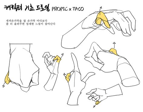 Draw Hands, Anatomy Tutorial, Hand Drawing Reference, Body Reference Drawing, Hand Reference, 캐릭터 드로잉, Body Anatomy, Anatomy Drawing, Figure Drawing Reference