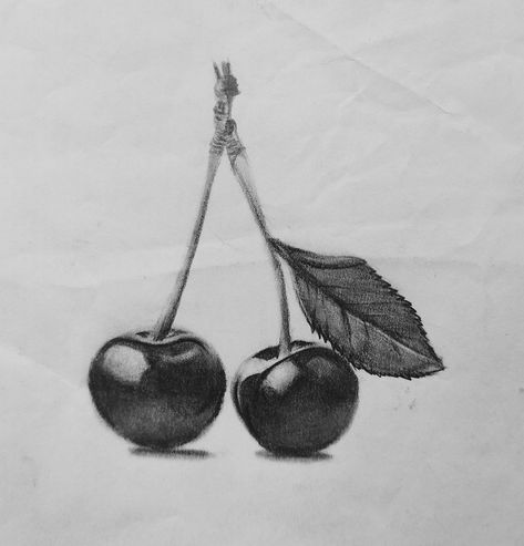 Cherries Black And White, Cherry Drawing Pencil, Fruit Drawing Black And White, Cherries Sketch, Realistic Cherry Drawing, Cherry Reference, Cherry Artwork, Sketch Shading, Cherry Drawing