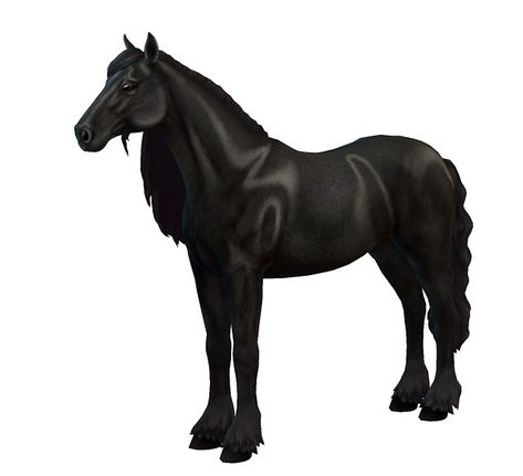 Horses Sims 4, Sims 4 Horse Cc Maxis Match, Sims 4 Cc Animals, Sims 4 Ranch Cc, Blue Ancolia, Sims 4 Horse Ranch Cc, Sims 4 Horse Cc, Sims Horses, Black Arabian Horse