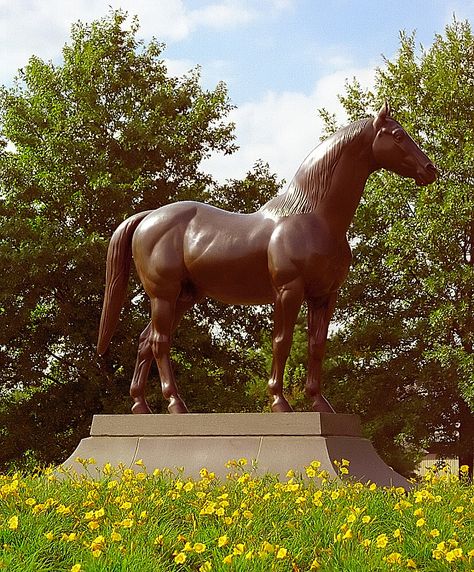 Lexington Kentucky - Kentucky Horse Park "Man 'O' War" Black Horse Riding, Kentucky Horse Park, Lexington Kentucky, Black Horse, Race Track, Horse Riding, Kentucky, Track, Horses