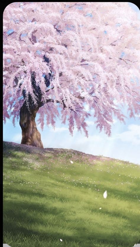 Trees With Flowers, Bathroom Curtains Ideas, Spring Wallpaper Aesthetic, Spring Iphone Wallpaper, Architecture References, Gacha Background, Custom Cast, Episode Interactive Backgrounds, Anime Places