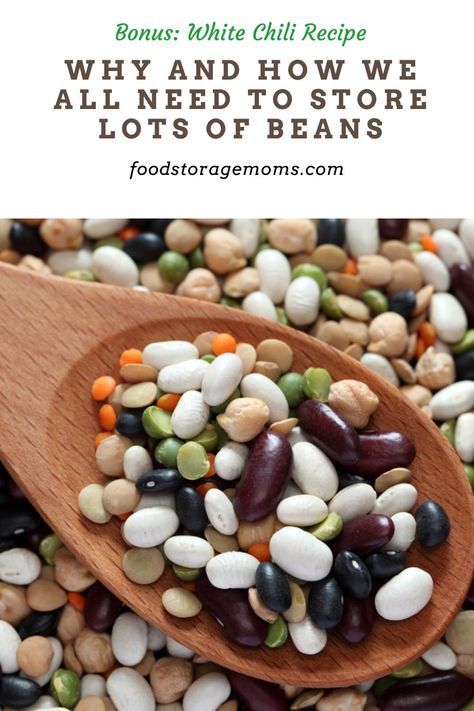 Recipes With Beans, Traditional Homemaking, Vintage Skills, White Chili Recipe, Kinds Of Beans, White Chili, Canned Beans, Survival Techniques, Bountiful Harvest