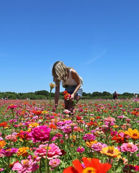 a day in the flower fields at @hunsaderfarms 🌸🌼 Flower Field Pics, Flower Field Pictures, Flower Field Photoshoot, Farm Pictures, Picking Flowers, Heart Poster, Insta Pics, Dream Lifestyle, Insta Inspo